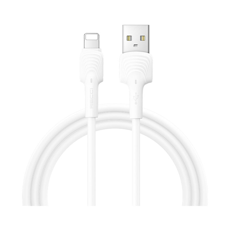 RECCI RTC خرید انلاین کابل تبدیل usb-C به Type-C رسی مدل RTC-N26C طول 1 متر