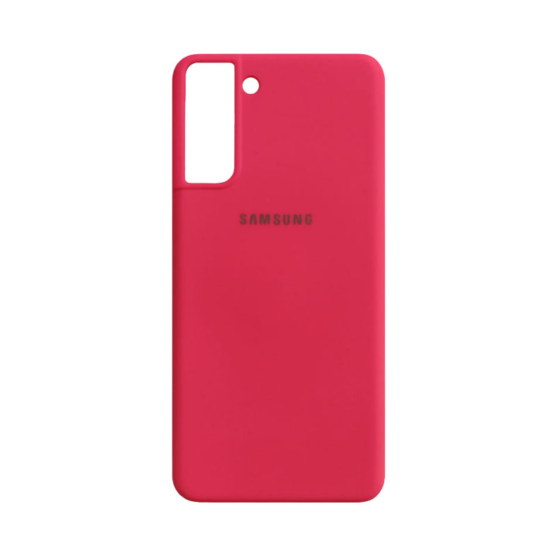 s21 fe case
