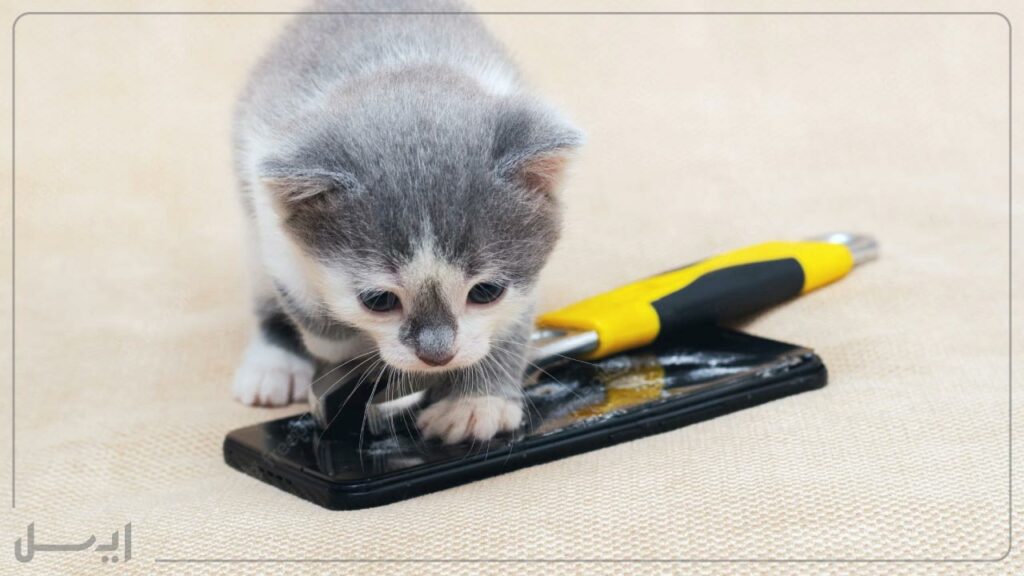 گلس گوشی PET