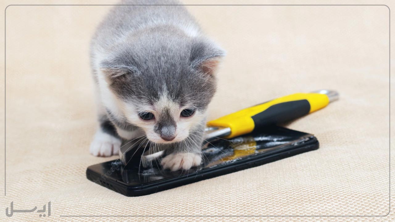گلس گوشی PET