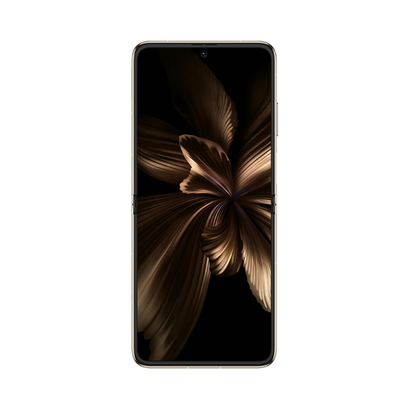P50 Pocket Premium (1) خرید گوشی موبایل هواوی مدل P50 Pocket ظرفیت 512 - رم 12